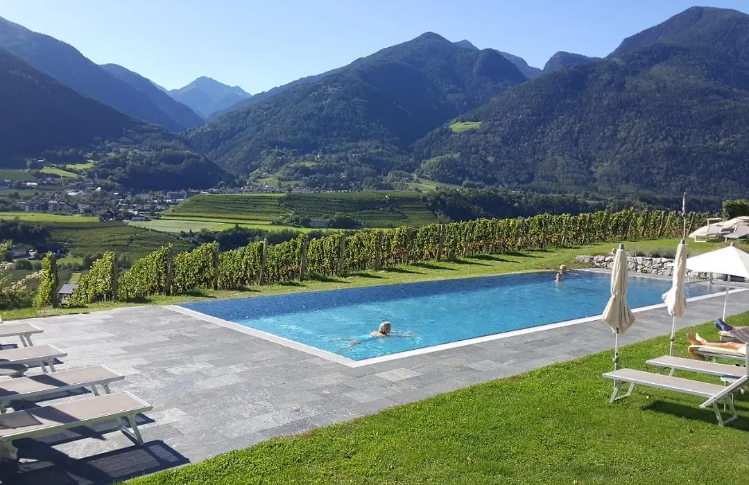 Hotel Pacherhof-1